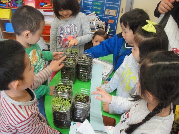 cach giao duc tre em tai nhat ban 5