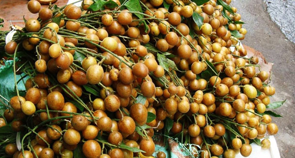 quat hong bi tri ho cho tre em