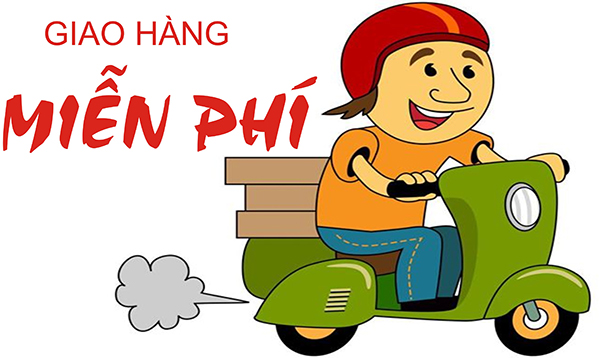 giao hang mien phi tan noi