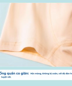 Combo 4 Quần Chip Đùi Cho Bé Trai Dưới 40Kg In Họa Tiết Sau Mông QS10